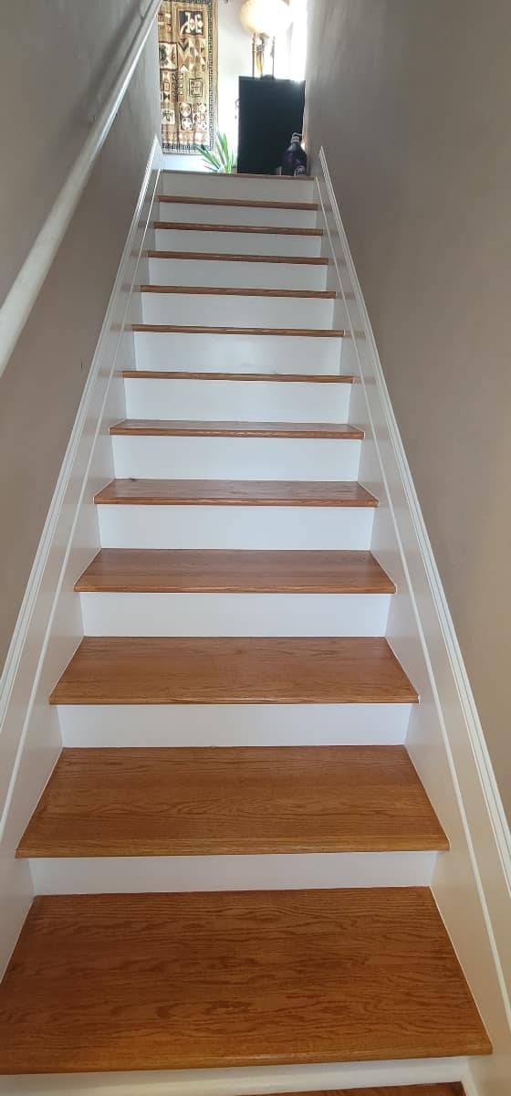 484853227_1941205123079429_7979548896837765266_n