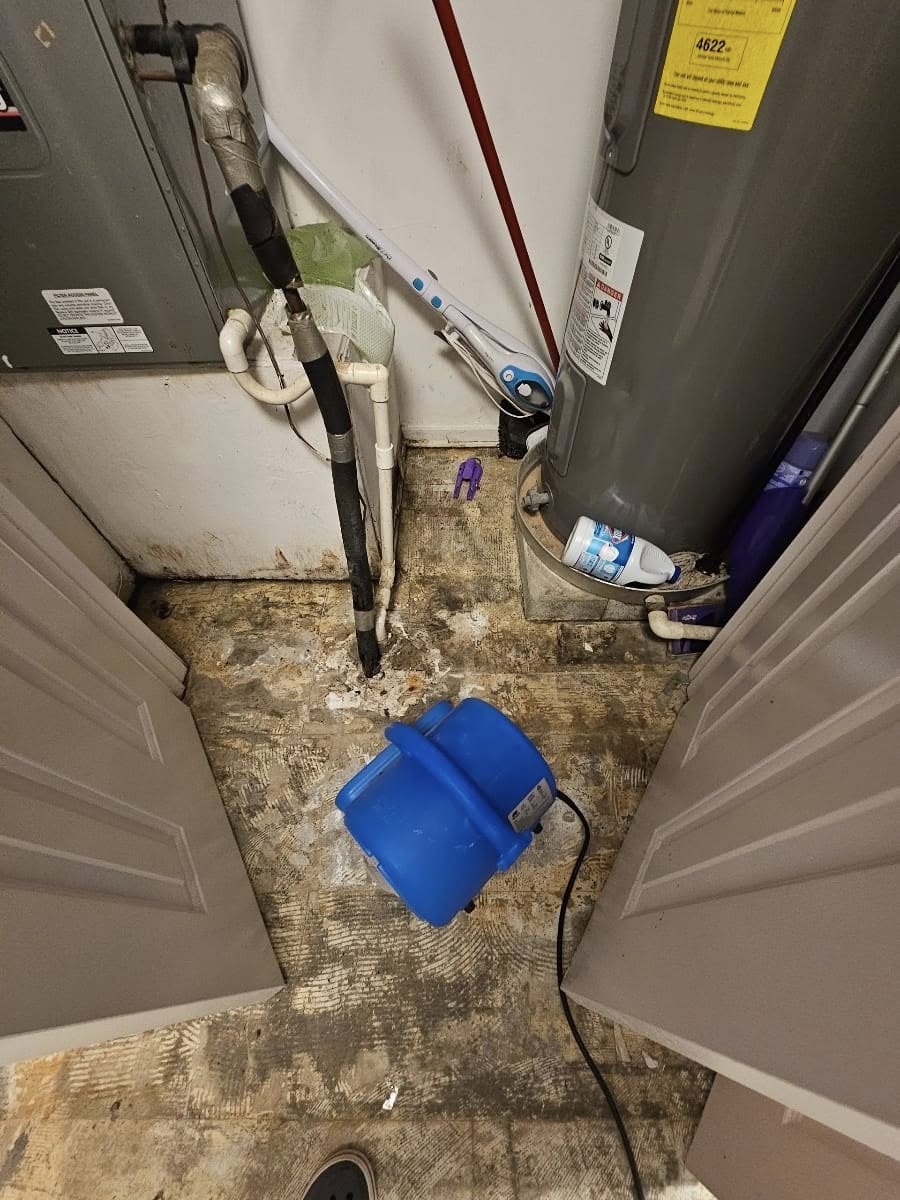 487503049_1948141592385782_2846540458772154142_n