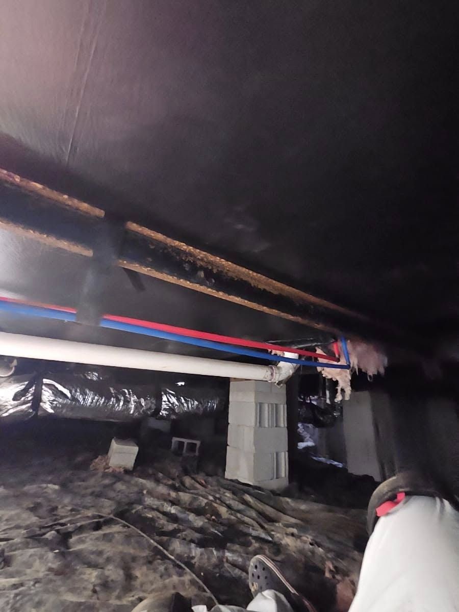 489952852_1960779714455303_1866711916213502839_n