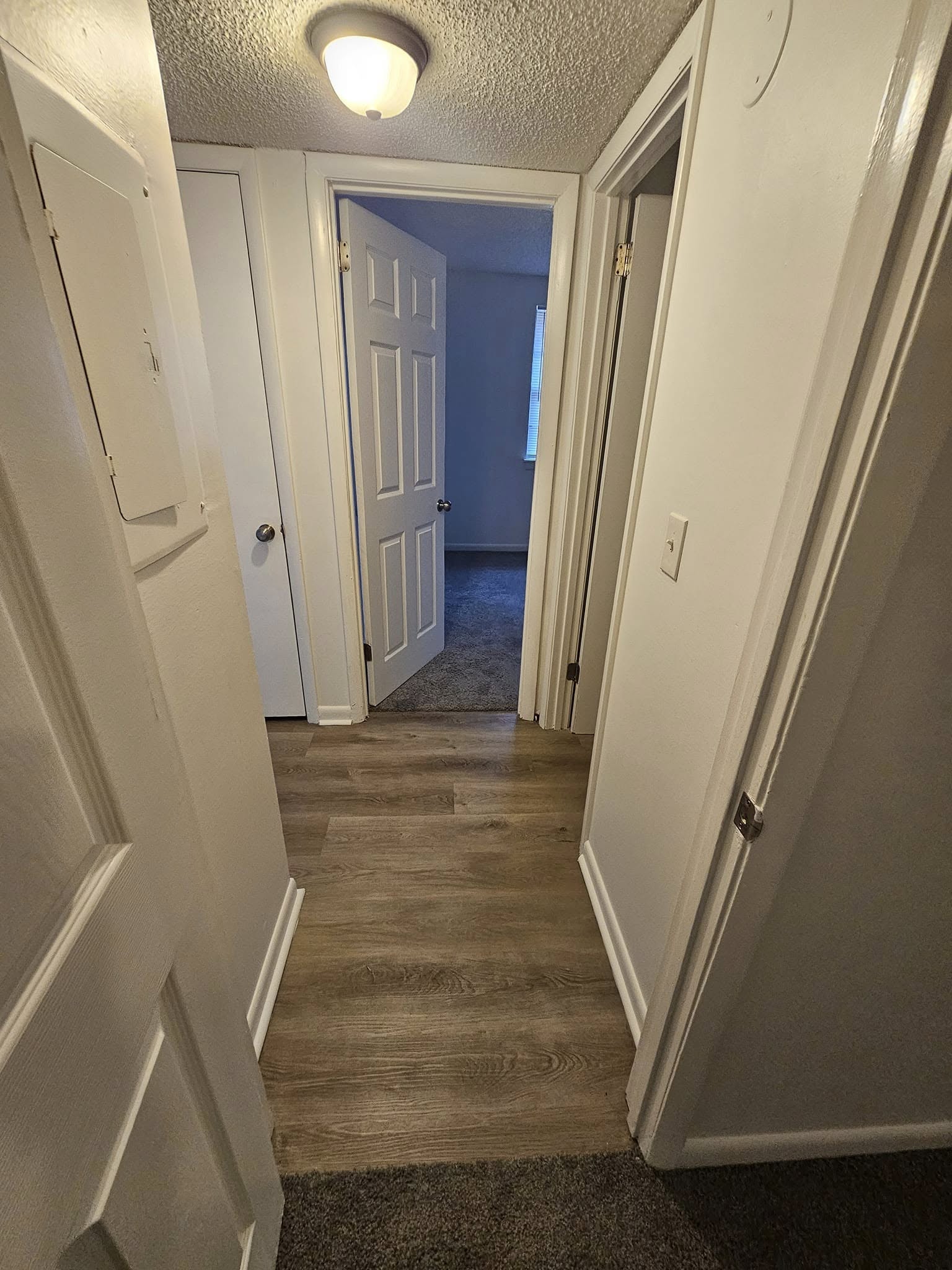 490023570_1960471171152824_8446427729118719709_n