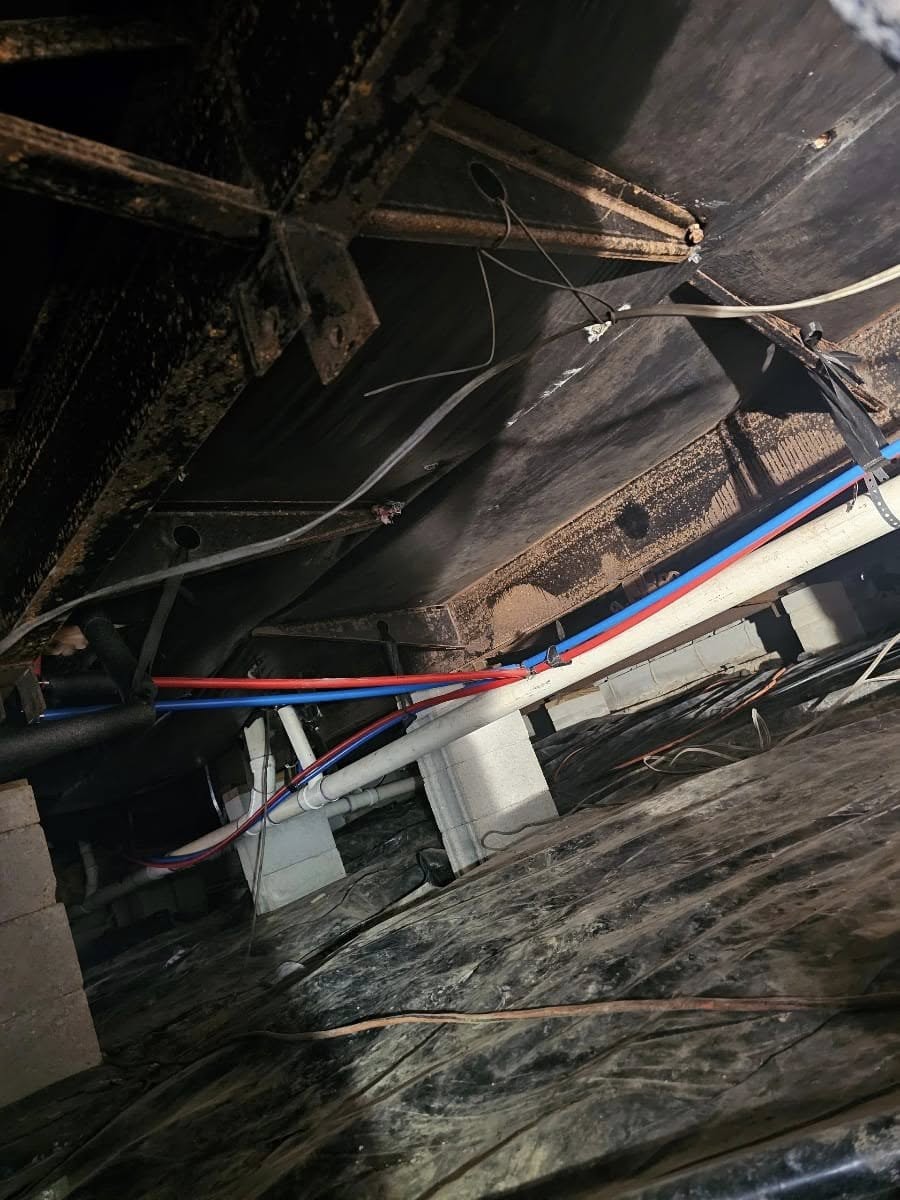 490416732_1960779694455305_9132995371970400912_n